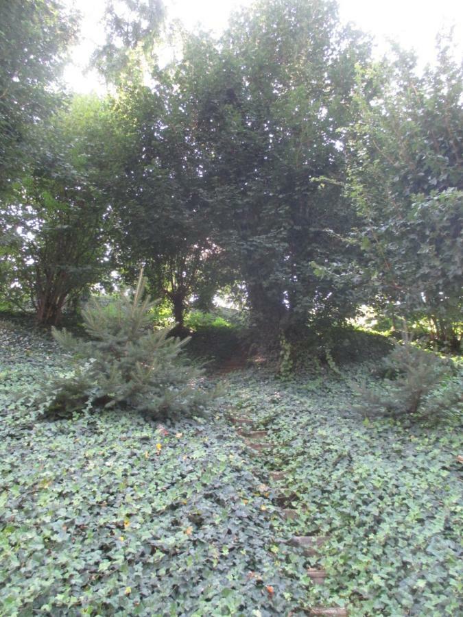 Stadtoase Meißen Buitenkant foto